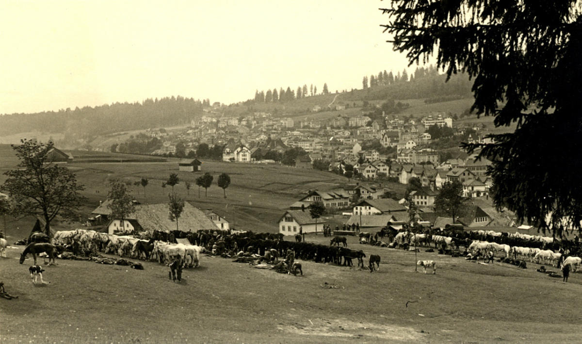 Spahis à Tramelan (BE) – Juin 1940. Collection J.D.Nicolet