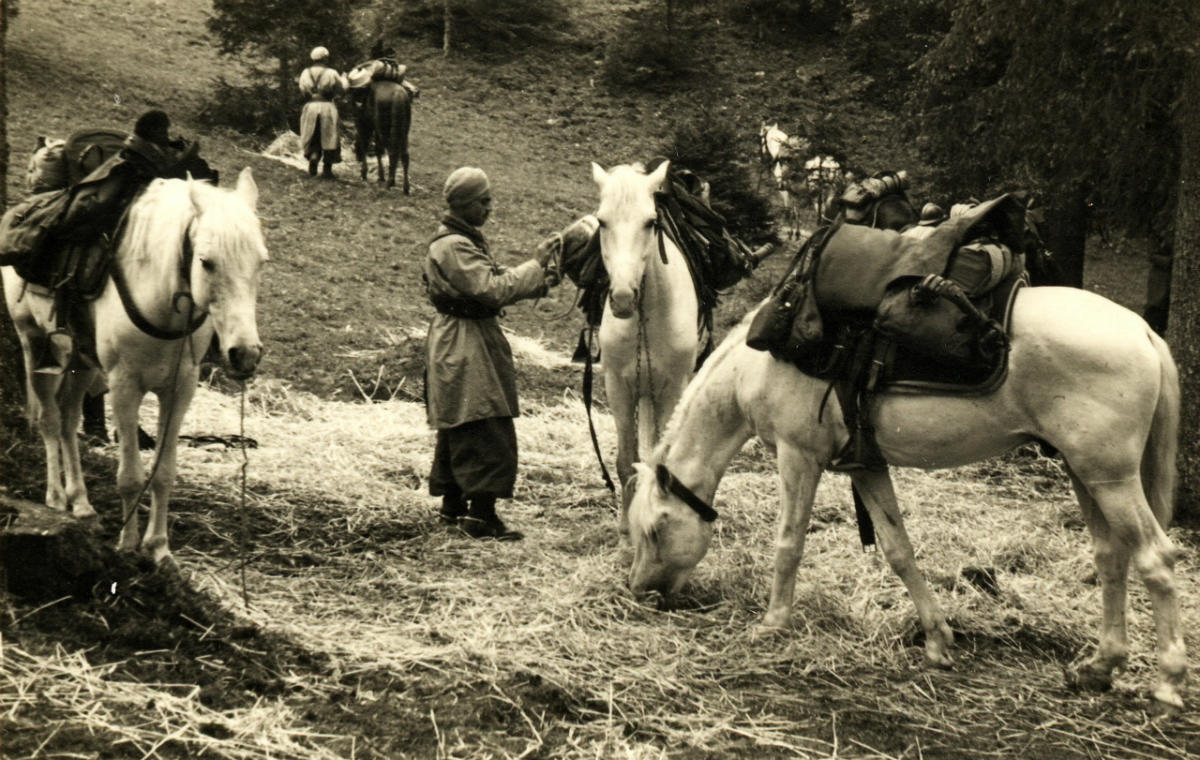 Spahis à Tramelan (BE) – Juin 1940. Collection J.D.Nicolet